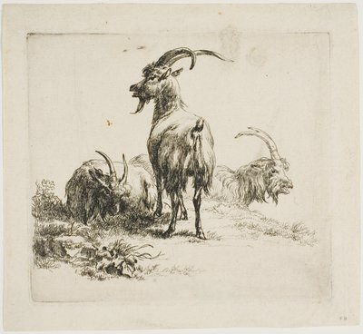 Ziegen, aus Verschiedene Tiere von Nicolaes Berchem