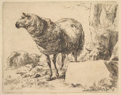 aus dem Set von Schafen von Nicolaes Berchem