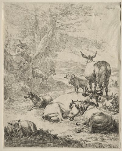 Tiere in Ruhe von Nicolaes Pietersz. Berchem