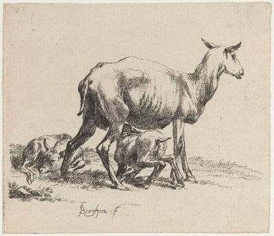 Mutterschaf, das ihr Lamm säugt von Nicolaes Pietersz Berchem
