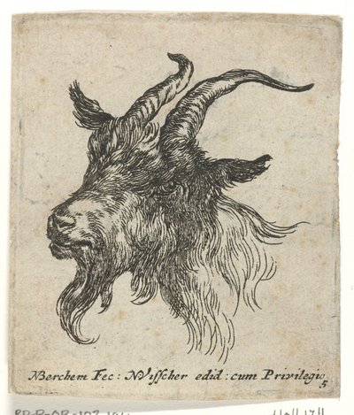 Kopf einer Ziege von Nicolaes Pietersz Berchem