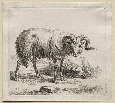 Widder und Schaf von Nicolaes Pietersz. Berchem