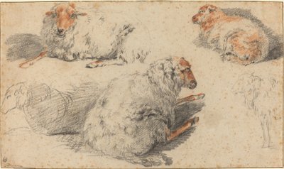 Schafe von Nicolaes Pietersz Berchem