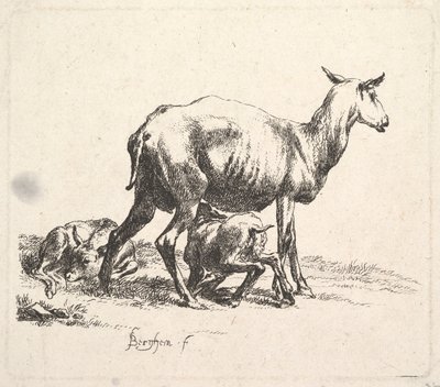 Schaf mit säugendem Lamm von Nicolaes Pietersz. Berchem