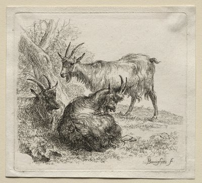 Drei Ziegen von Nicolaes Pietersz. Berchem