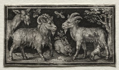 Ziegen und Hase von Nicolaes de Bruyn