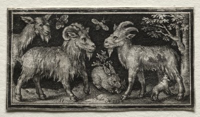 Ziegen und Hase, 1594 von Nicolaes de Bruyn