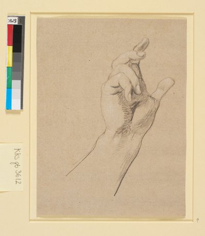 Studie einer Hand von Nicolai Abildgaard