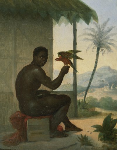 Brasilianischer Schwarzer mit tropischem Vogel von Nicolas Antoine Taunay