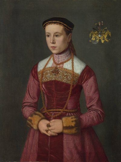 Porträt einer jungen Dame von Nicolas Neufchatel