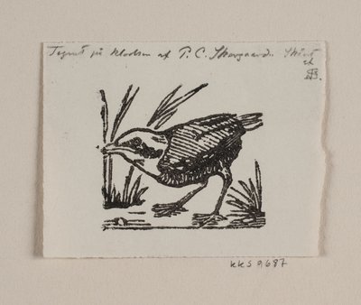 Ein Vogeljunges von Niels Skovgaard