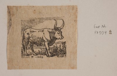 Ein Ochse von Niels Skovgaard