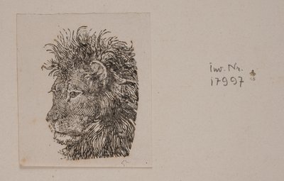 Ein Löwenkopf von Niels Skovgaard
