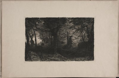 Der Trollwald von Niels Skovgaard