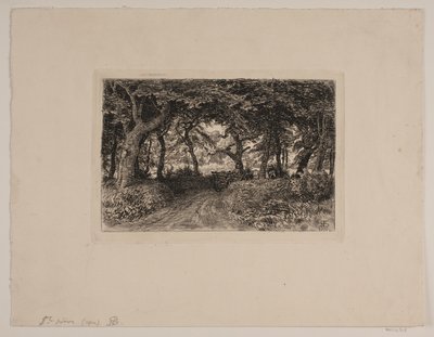 Wagen auf Waldweg von Niels Skovgaard