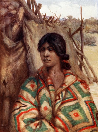 Eine Navajo-Indianerin von Norman Hardy