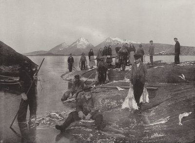 Klipfisch waschen von Norwegian Photographer