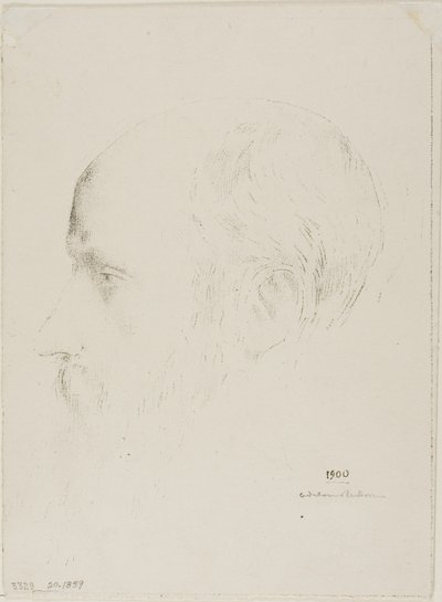 Edouard Vuillard von Odilon Redon