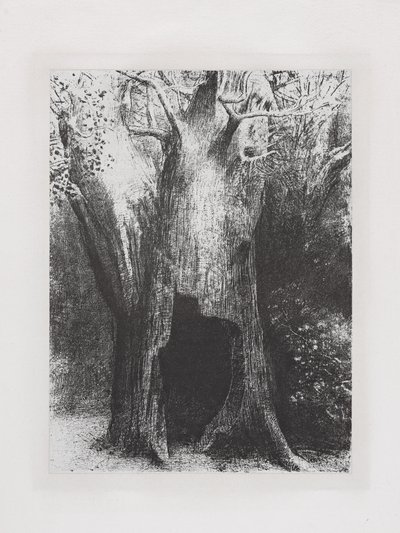 Ich habe mich in die Einsamkeit vertieft von Odilon Redon