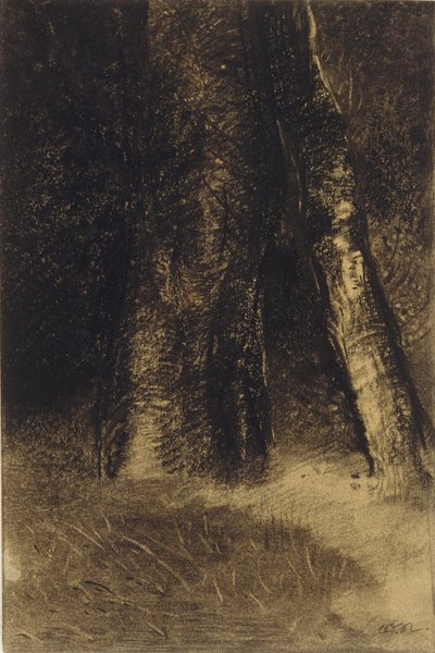 Skizze von Bäumen von Odilon Redon