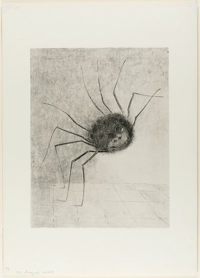 Spinne von Odilon Redon