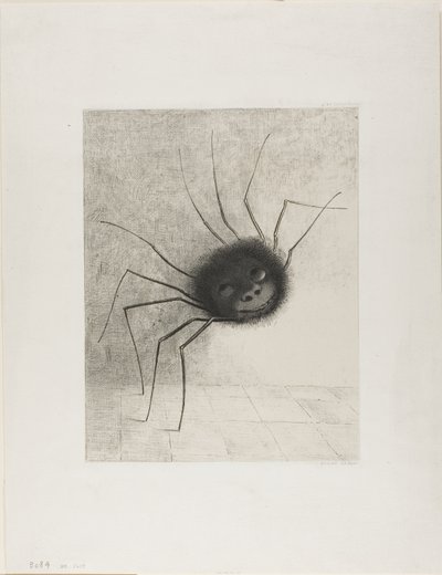 Spinne von Odilon Redon