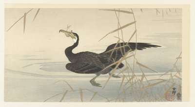 Kormoran mit Fisch von Ohara Koson