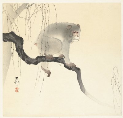 Affe auf Baumzweig von Ohara Koson