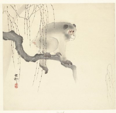 Affe auf Baumzweig von Ohara Koson