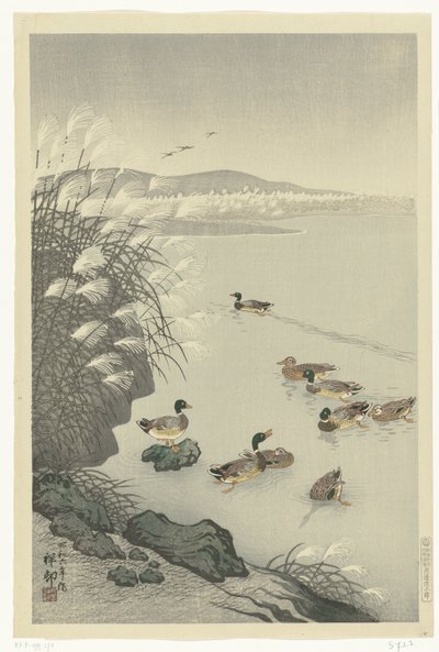 Enten im Wasser von Ohara Koson
