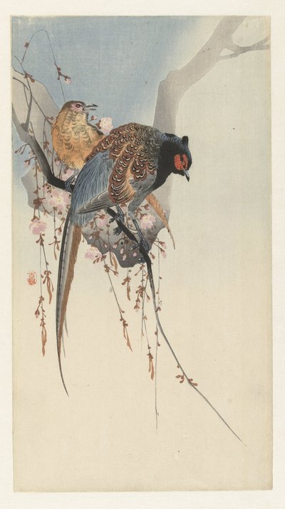 Fasanenpaar und Pflaumenblüte von Ohara Koson