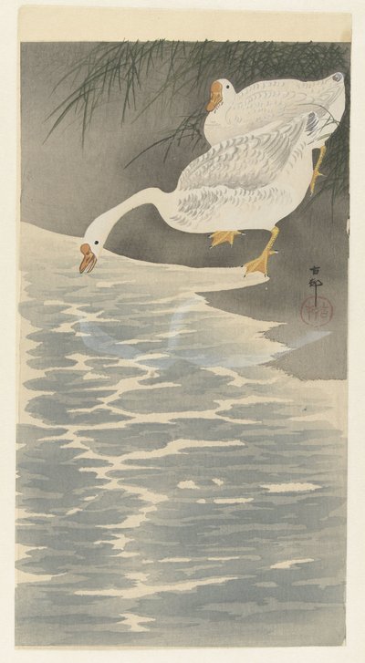 Gänse am Ufer von Ohara Koson