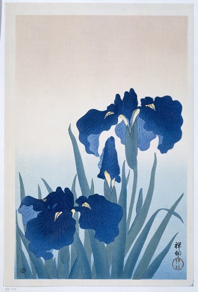 Schwertlilien von Ohara Koson
