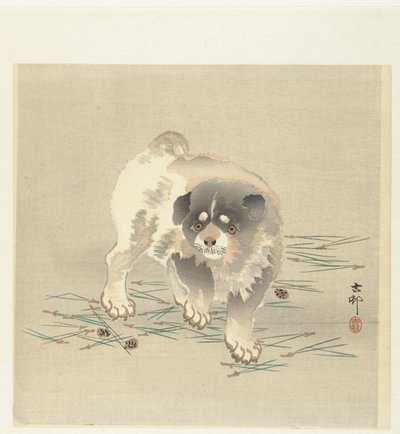 Junger Hund von Ohara Koson