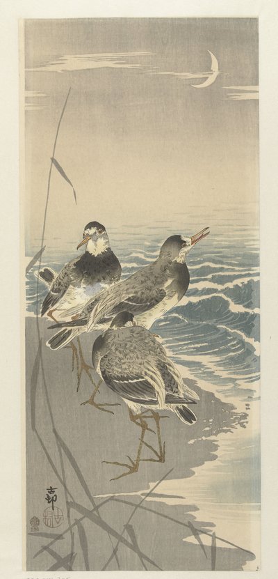 Flussuferläufer bei Sichelmond von Ohara Koson
