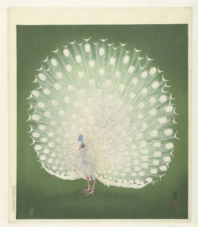 Pfau von Ohara Koson