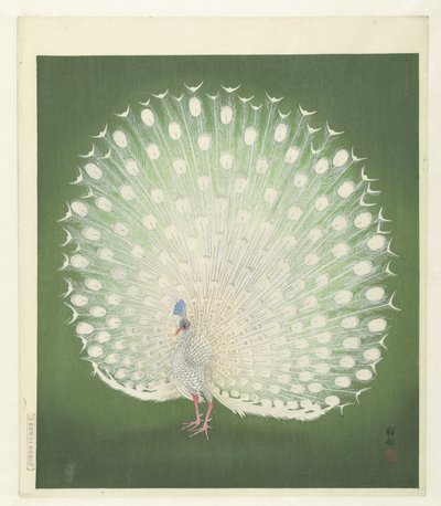 Pfau von Ohara Koson