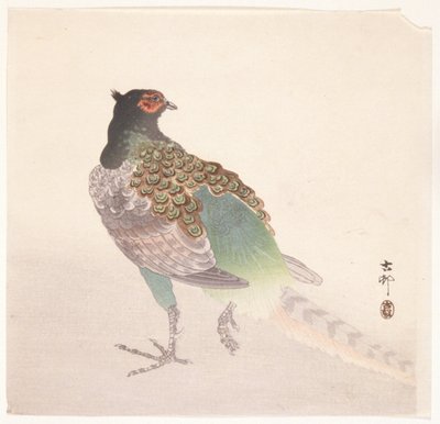 Fasan von Ohara Koson