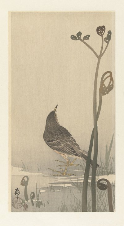 Pieper am Wasserufer von Ohara Koson