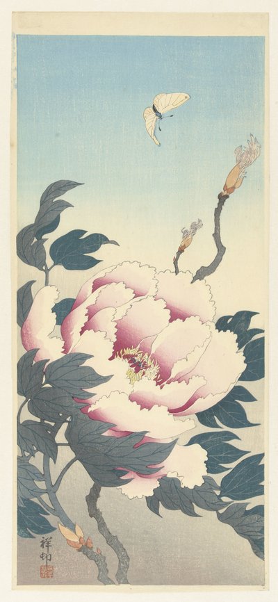 Pfingstrose mit Schmetterling von Ohara Koson