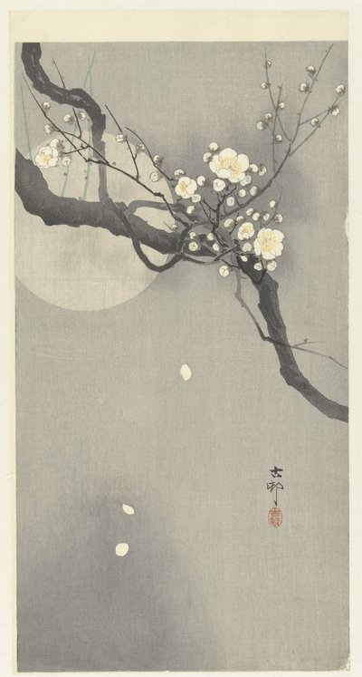 Pflaumenblüte und Vollmond von Ohara Koson