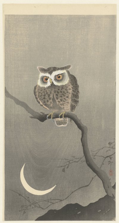 Waldohreule auf kahlem Baumzweig von Ohara Koson