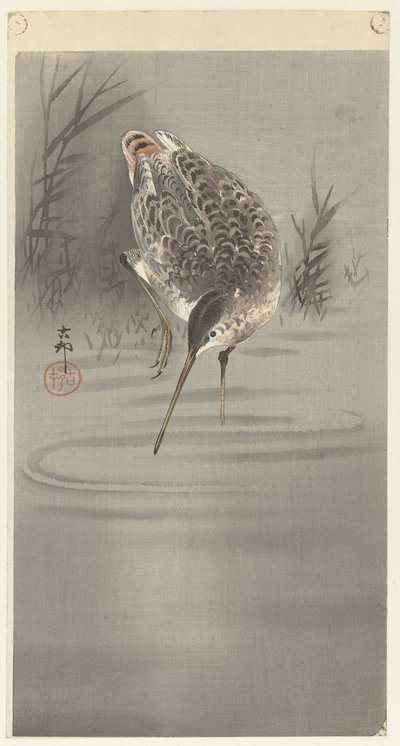Schnepfe im Wasser von Ohara Koson
