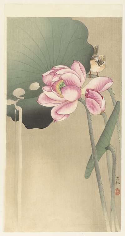 Singvogel und Lotus von Ohara Koson