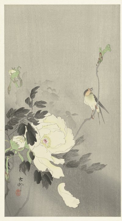 Schwalbe mit Pfingstrose von Ohara Koson