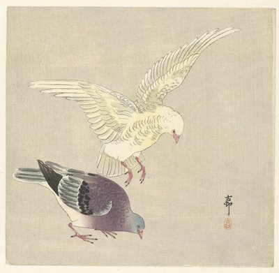 Zwei Tauben von Ohara Koson