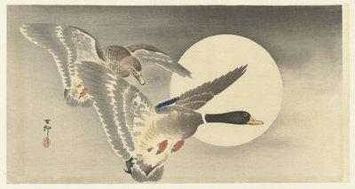 Zwei Enten bei Vollmond von Ohara Koson