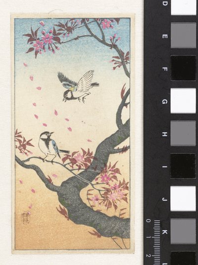 Zwei Kohlmeisen bei blühendem Baum von Ohara Koson