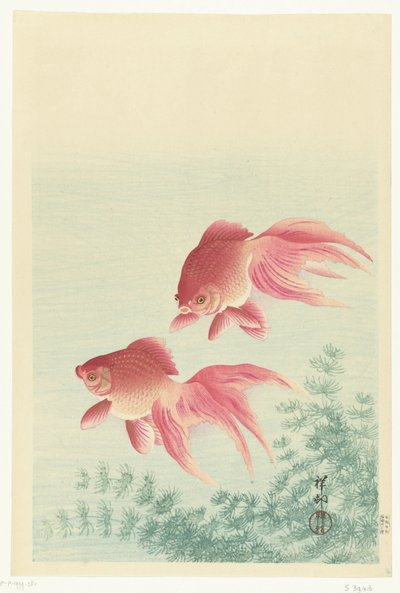 Zwei Schleierschwanz-Goldfische von Ohara Koson