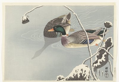 Zwei Stockenten nahe einer schneebedeckten Lotusblume von Ohara Koson